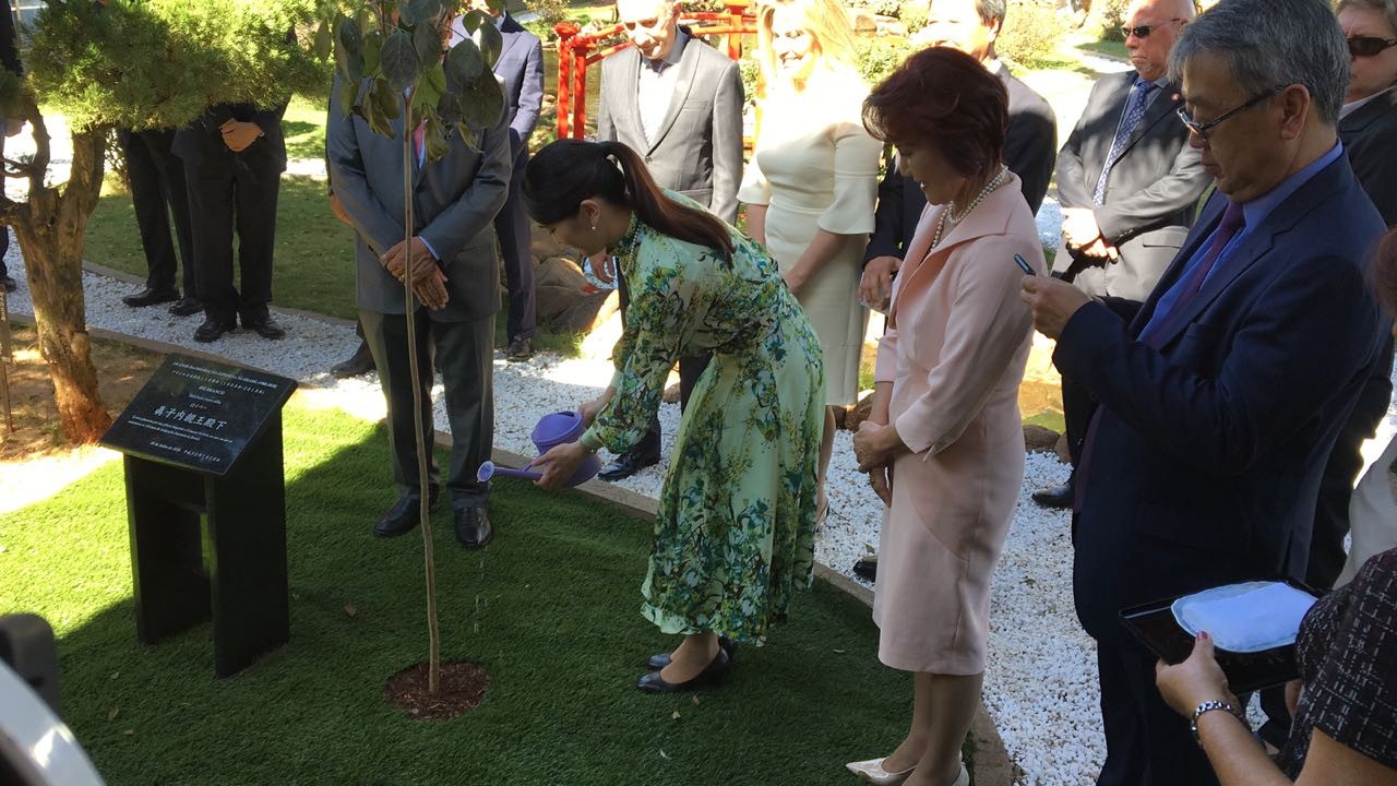 Princesa Mako regou ipê branco e agradeceu o povo brasileiro