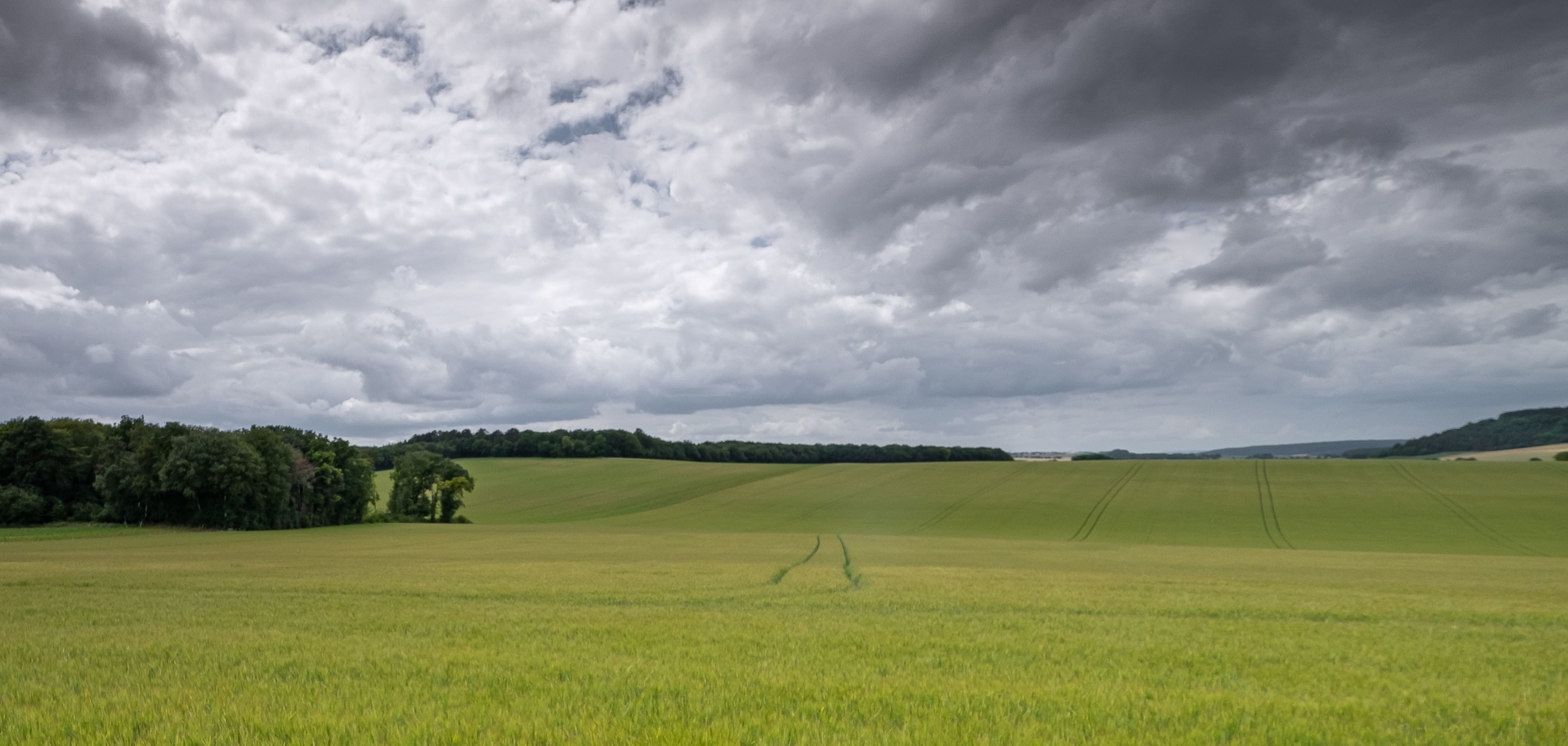 Chuva atrapalha o início da colheita na região de Maringá