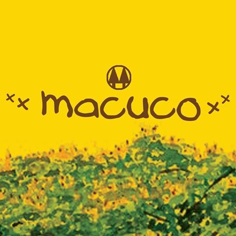 Maringá tem cooperativa de artistas