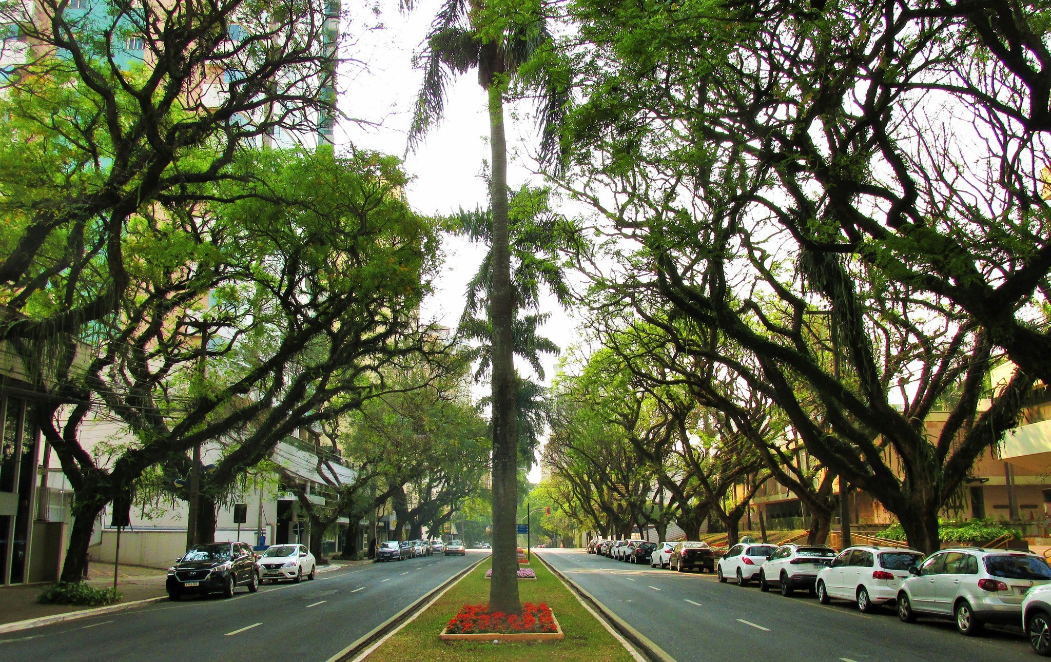 Terça-feira (10) segue quente e com tempo seco em Maringá; veja previsão