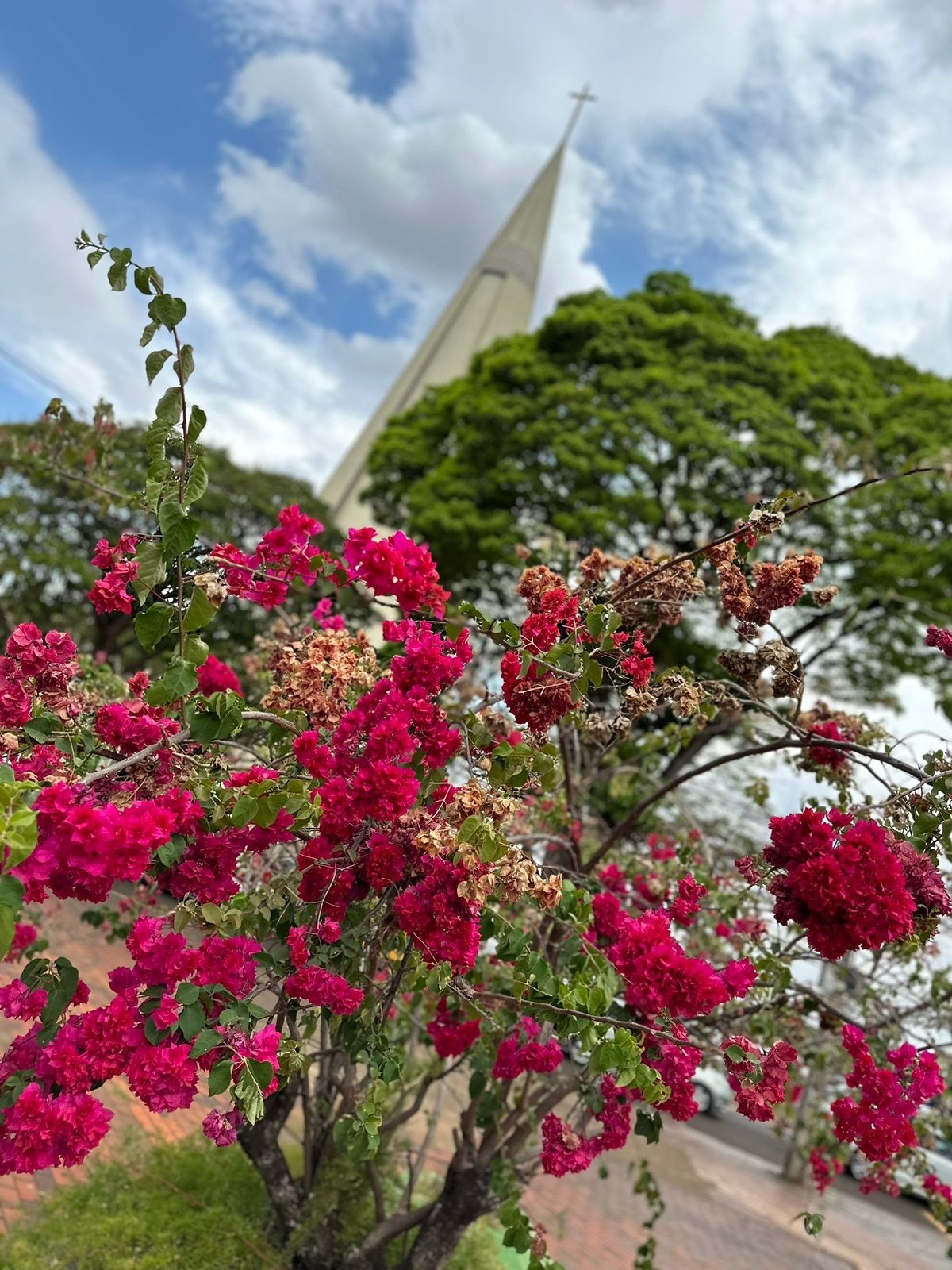 Simepar prevê tempo estável em Maringá nesta quinta-feira (2)