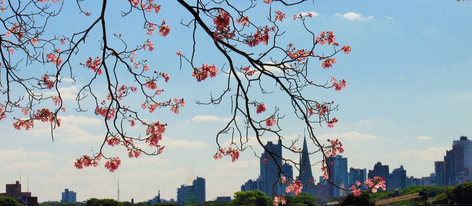 Com tempo estável, Maringá deve ter máxima de 30º C nesta quinta-feira (20)