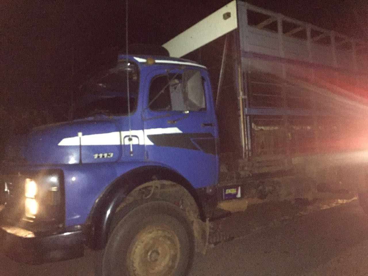 Dupla é detida com 29 novilhas roubadas