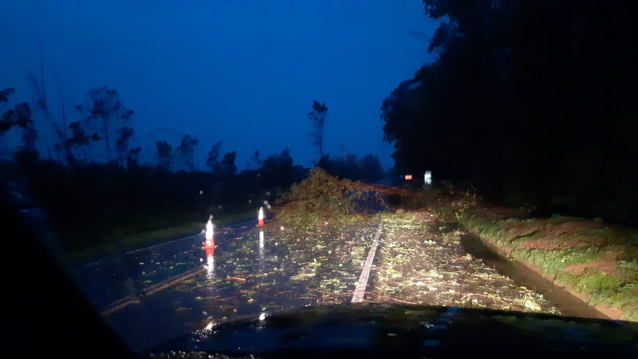 Chuva forte derruba árvores na BR-376 em Paranavaí