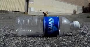 Você sabe o que acontece quando joga uma garrafa de plástico no chão?