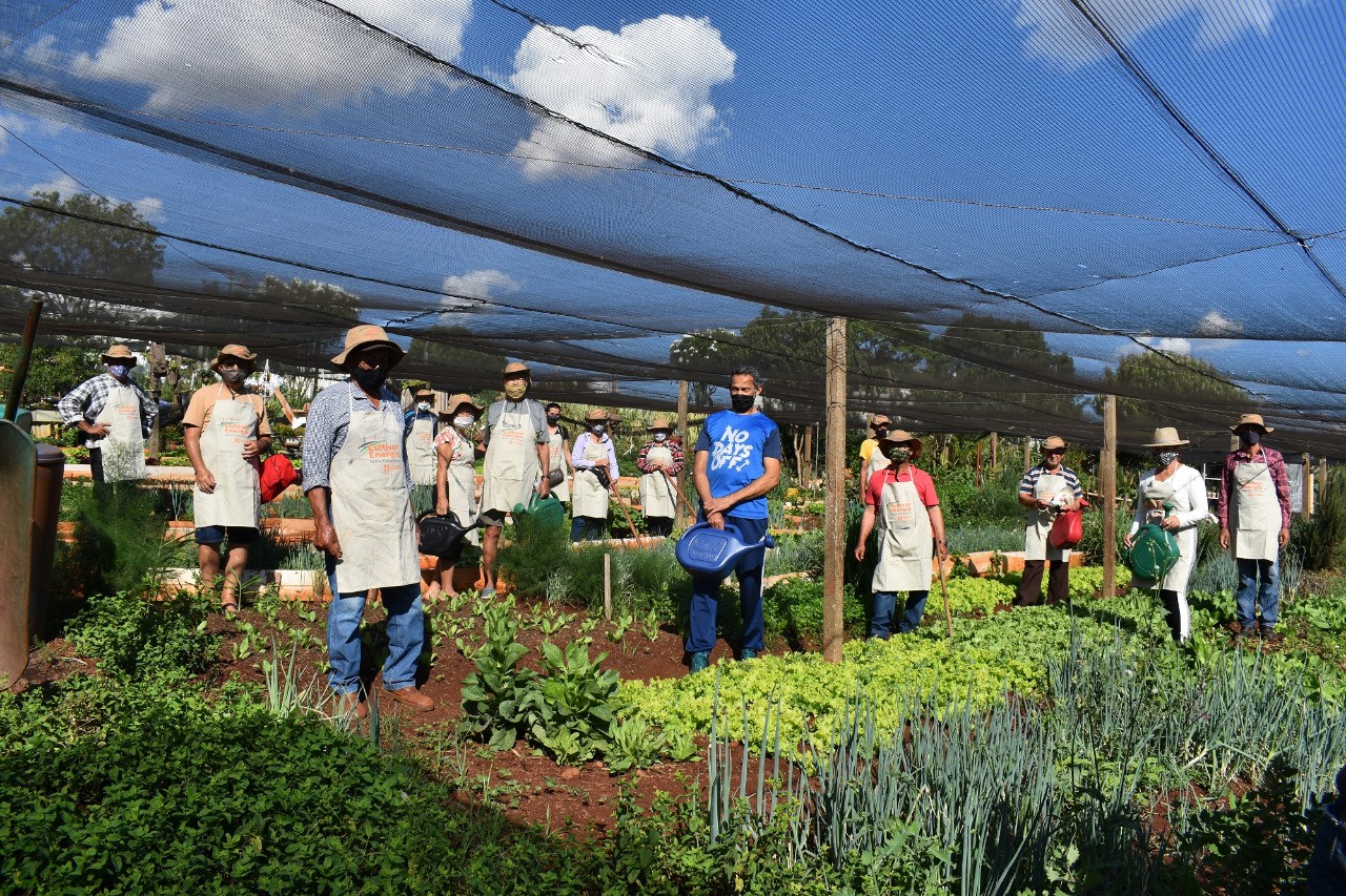 Cultivar Energia evita ocupação irregular debaixo de linhas de distribuição