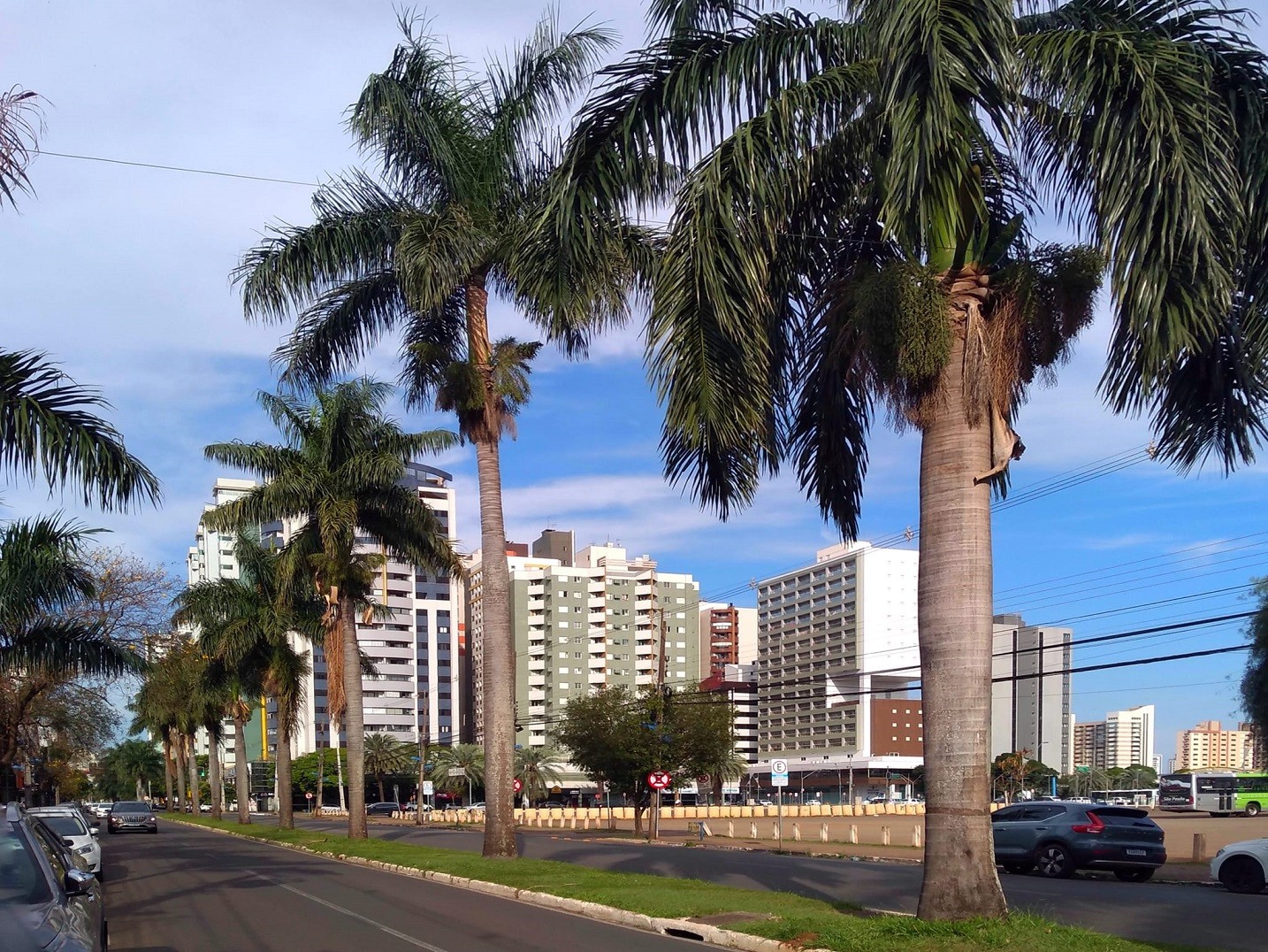 Sexta-feira (5) de calor e tempo firme em Maringá; máximas seguem altas no fim de semana