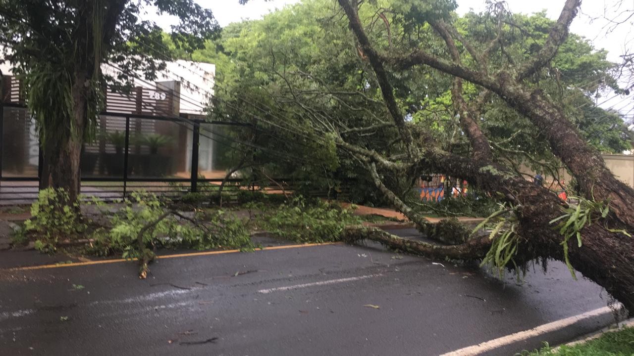 Maringá registrou ventos de 82 km/h e 99 mm de chuva durante o temporal