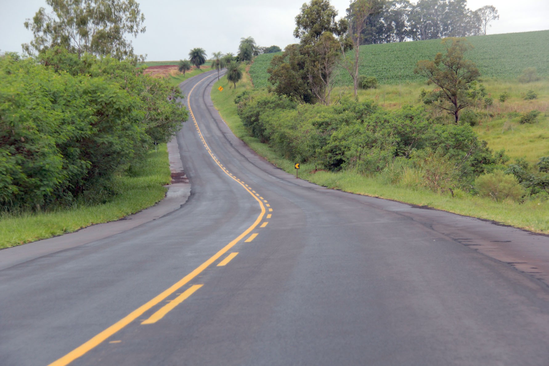 Motorista morre em acidente na PR 323