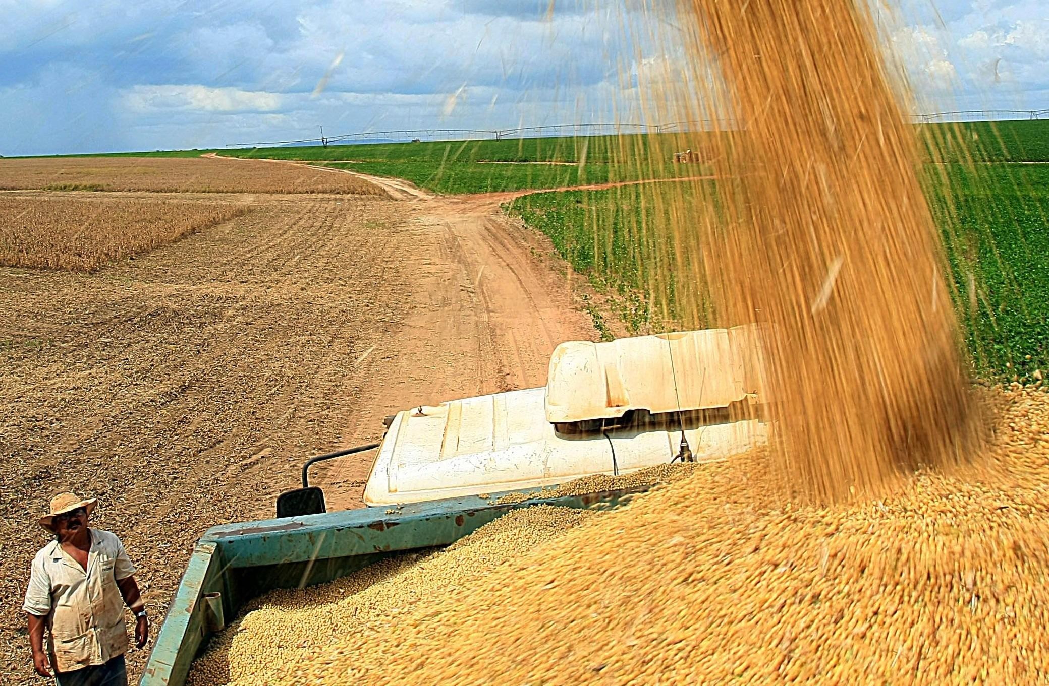 Atividade agropecuária teve redução de rentabilidade, avalia CNA