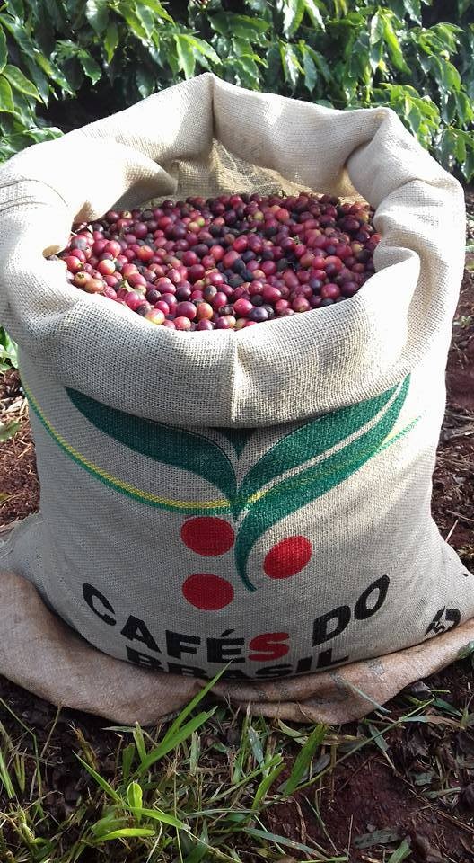 Preço do café em Umuarama é mais alto que em Maringá