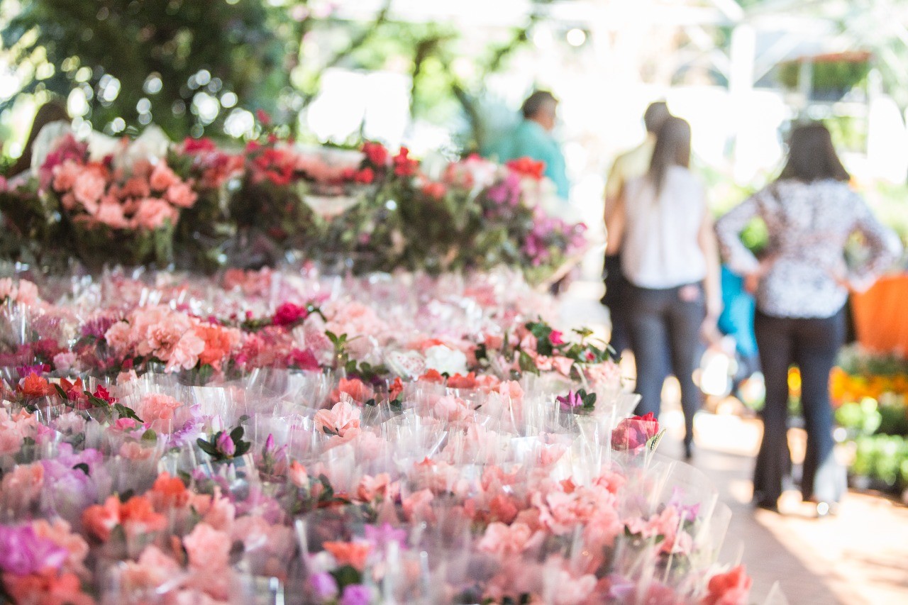 Expoflor começa nesta semana na praça Renato Celidônio