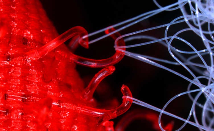 Você sabe o que é Biomimética?