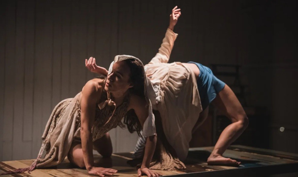 Espetáculo projeta videodança em fachada de prédio em Maringá