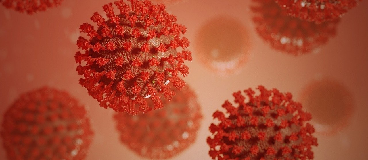 Confira dados sobre o coronavírus neste sábado (30)