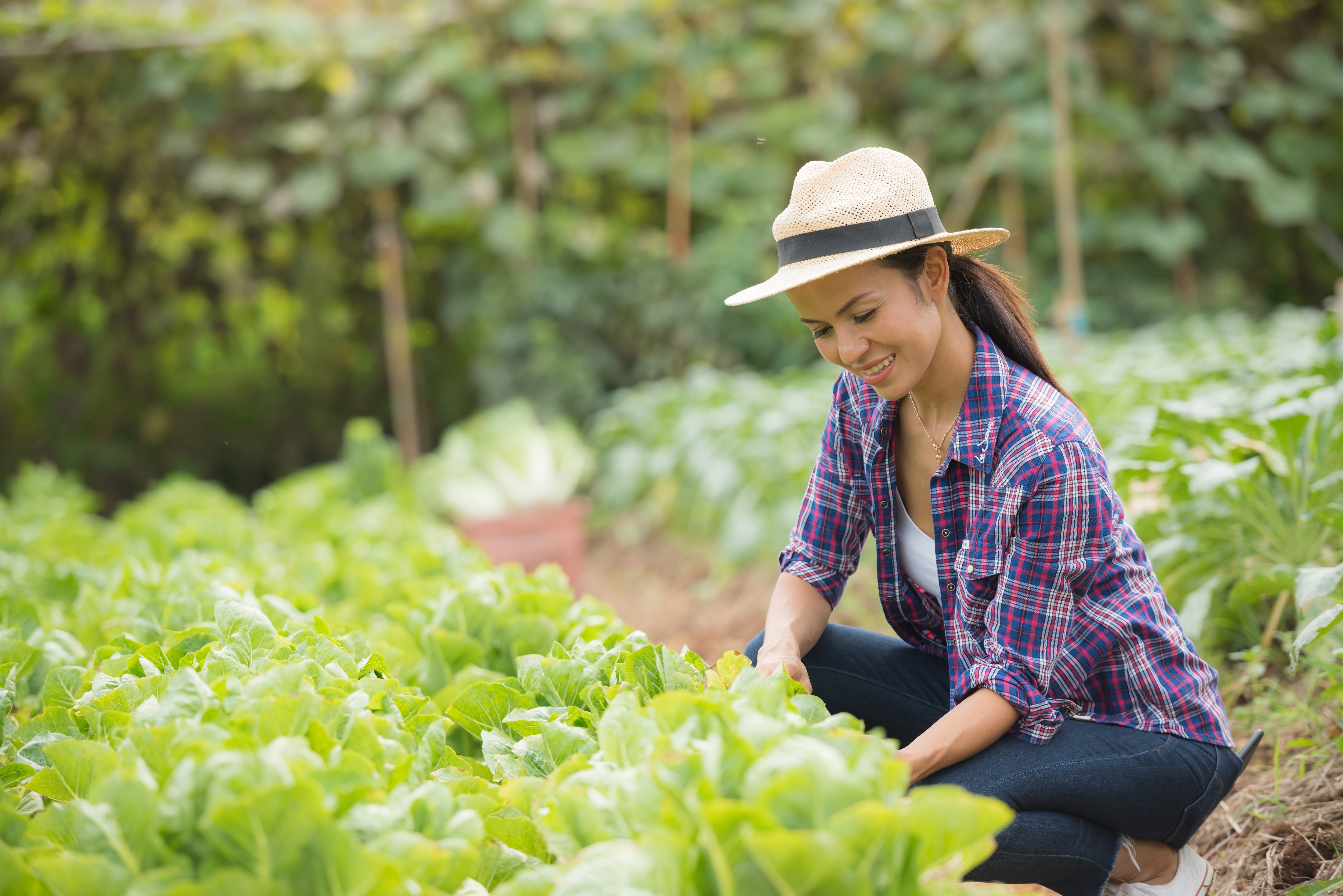 Pesquisa mapeia a participação das mulheres no agronegócio