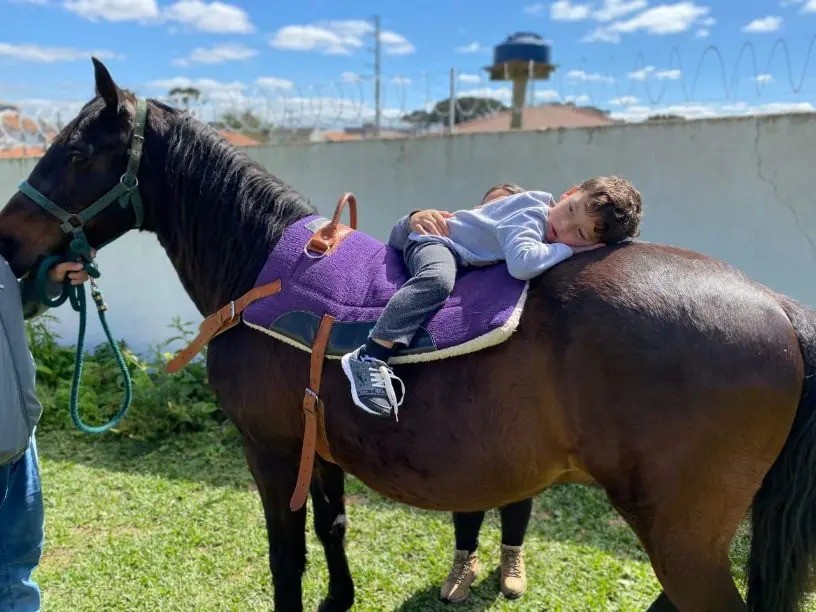 Prefeitura de Maringá pode oferecer equoterapia no sistema público de saúde