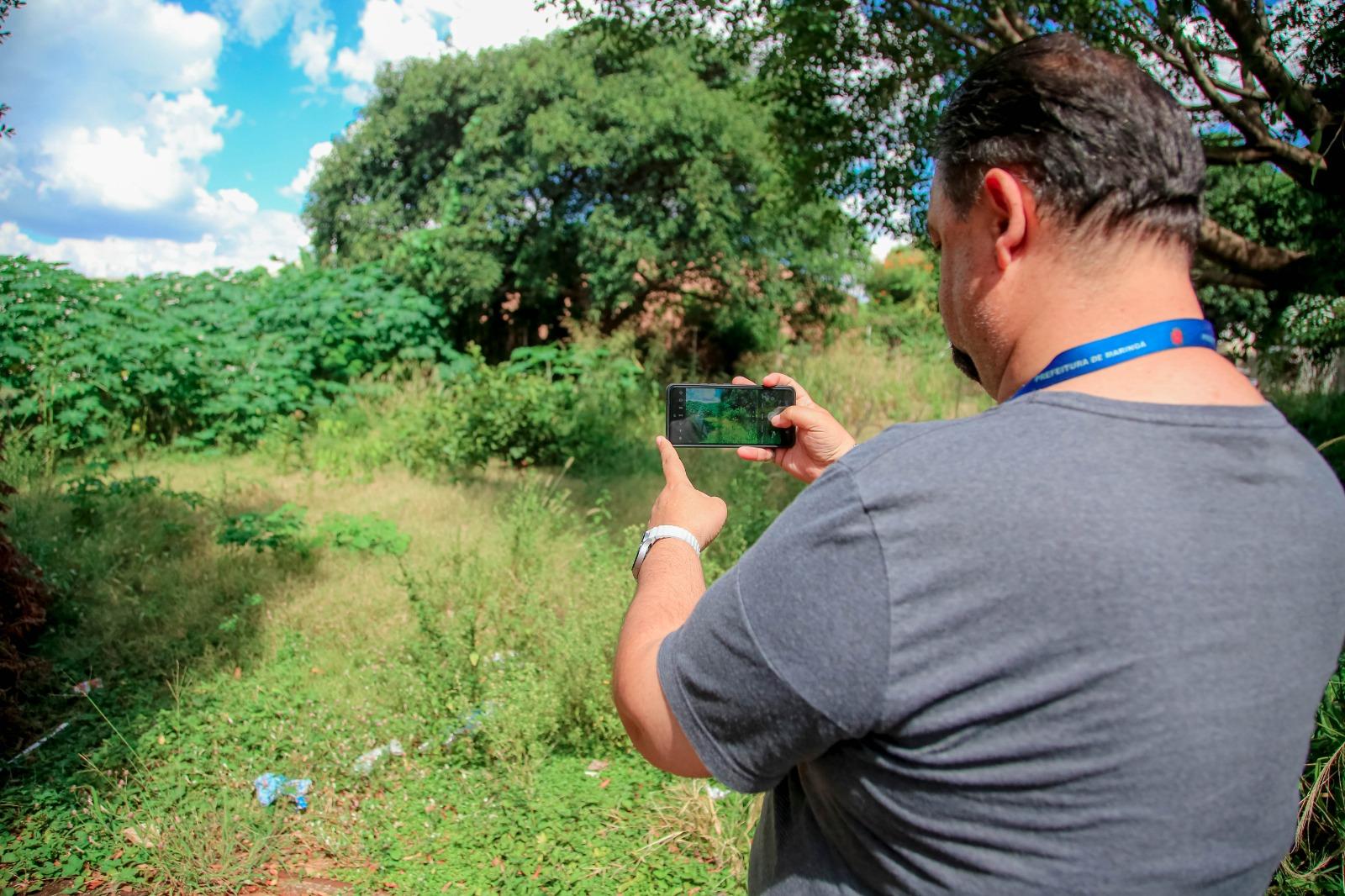 Após mudança na lei das roçadas, prefeitura lança 1ª notificação para donos de terrenos