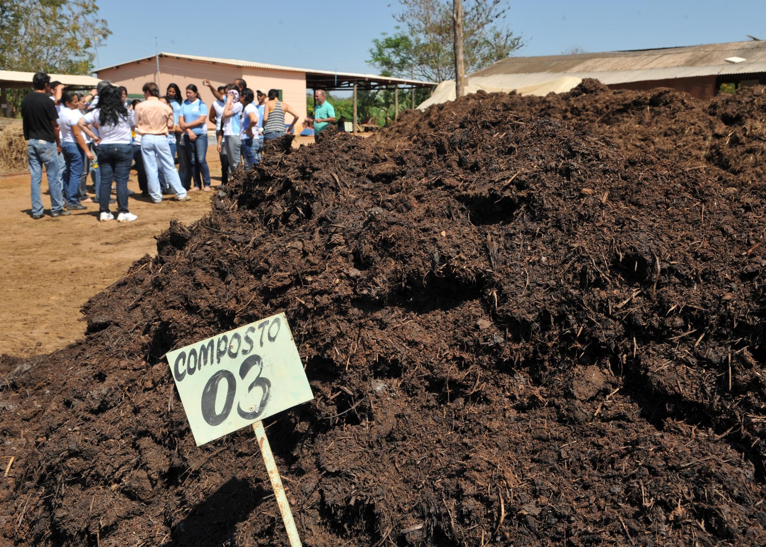 Brasil deve receber 24 navios com fertilizantes vindos da Rússia