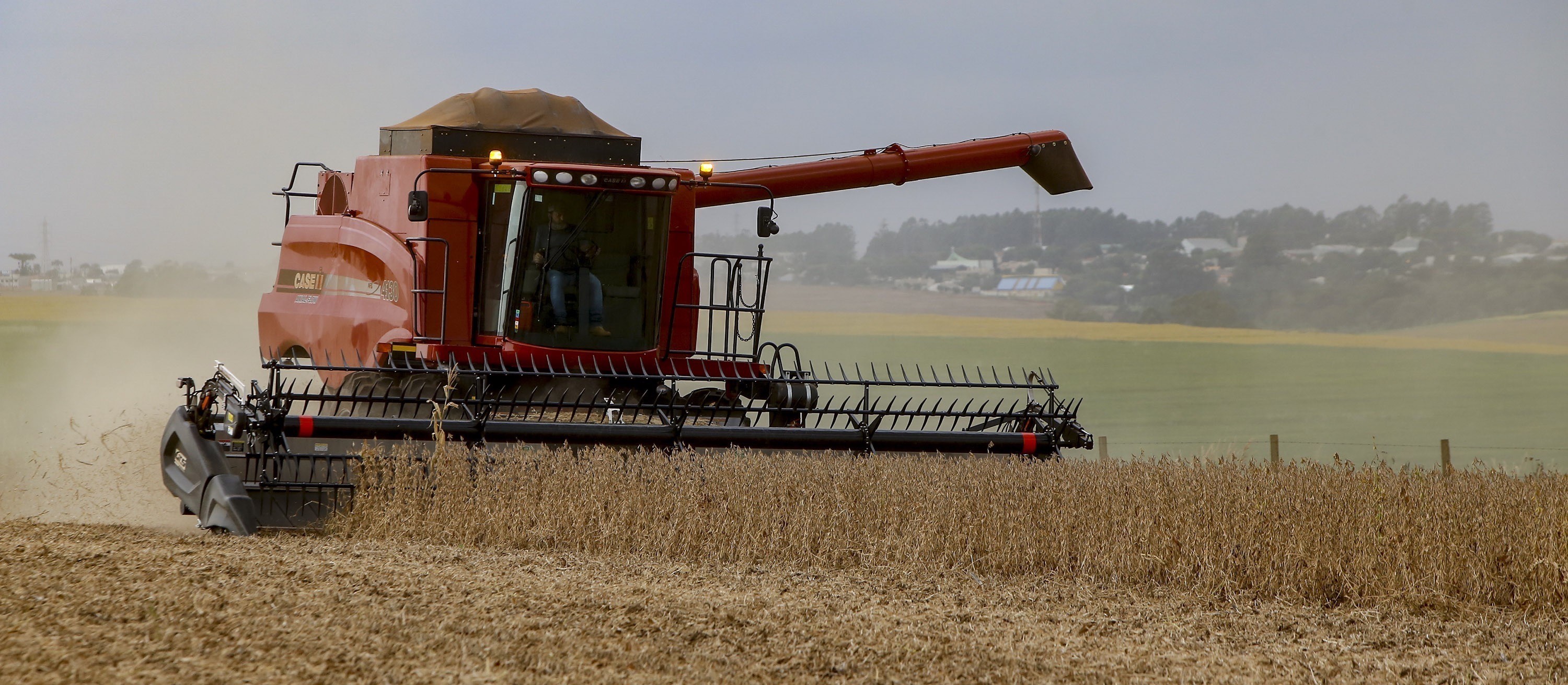 Desempenho das lavouras de soja no sul devem melhorar na safra 2022/23