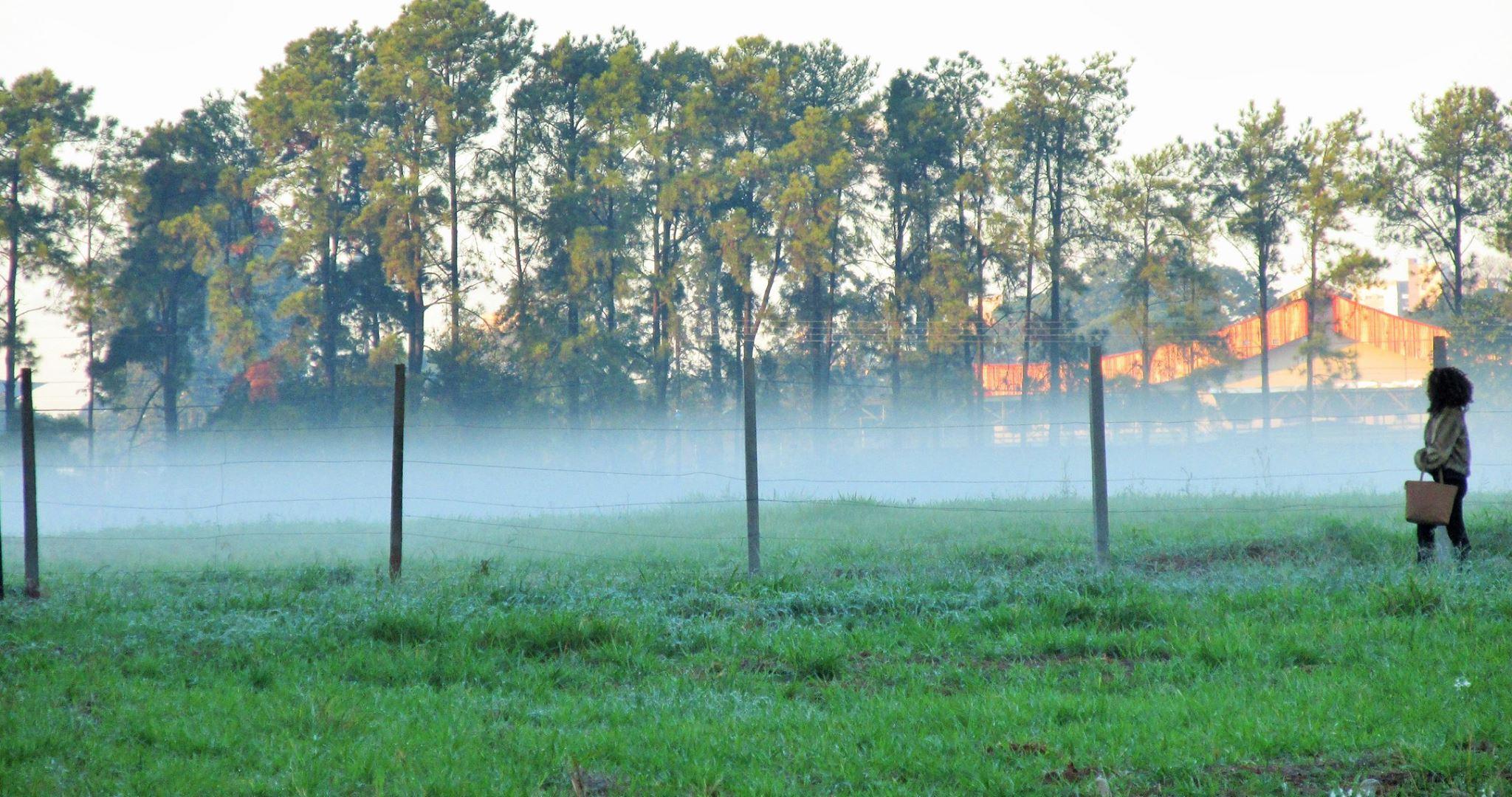 Terça (24) amanhece com céu limpo e temperaturas próximas de 2°C em Maringá