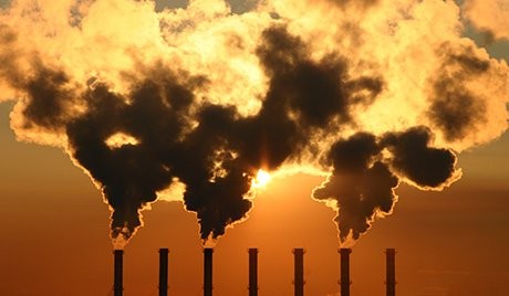 Ignorância é o maior obstáculo para o combate às mudanças climáticas