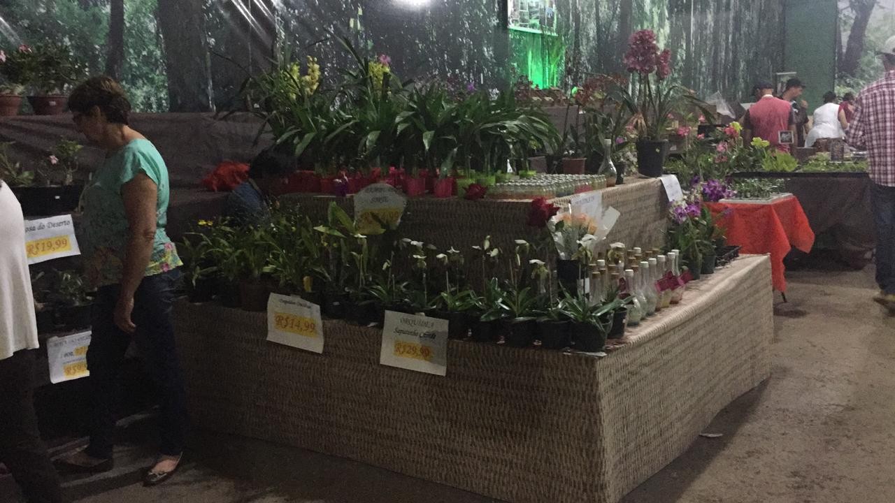 Produtores de flores da região participam da Expoingá
