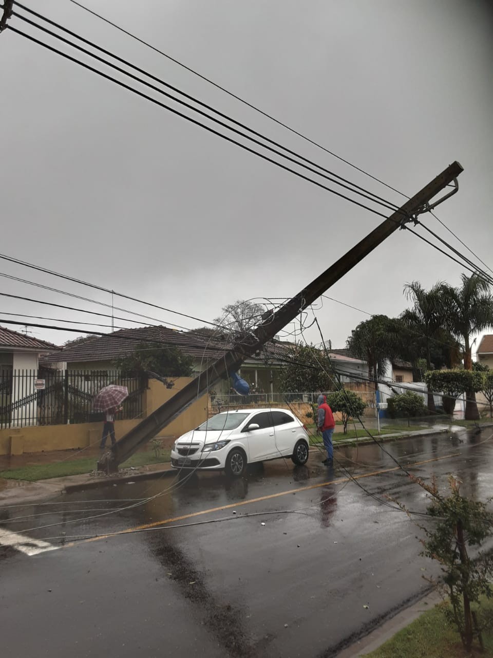 Chuva provoca queda de árvores e postes de energia