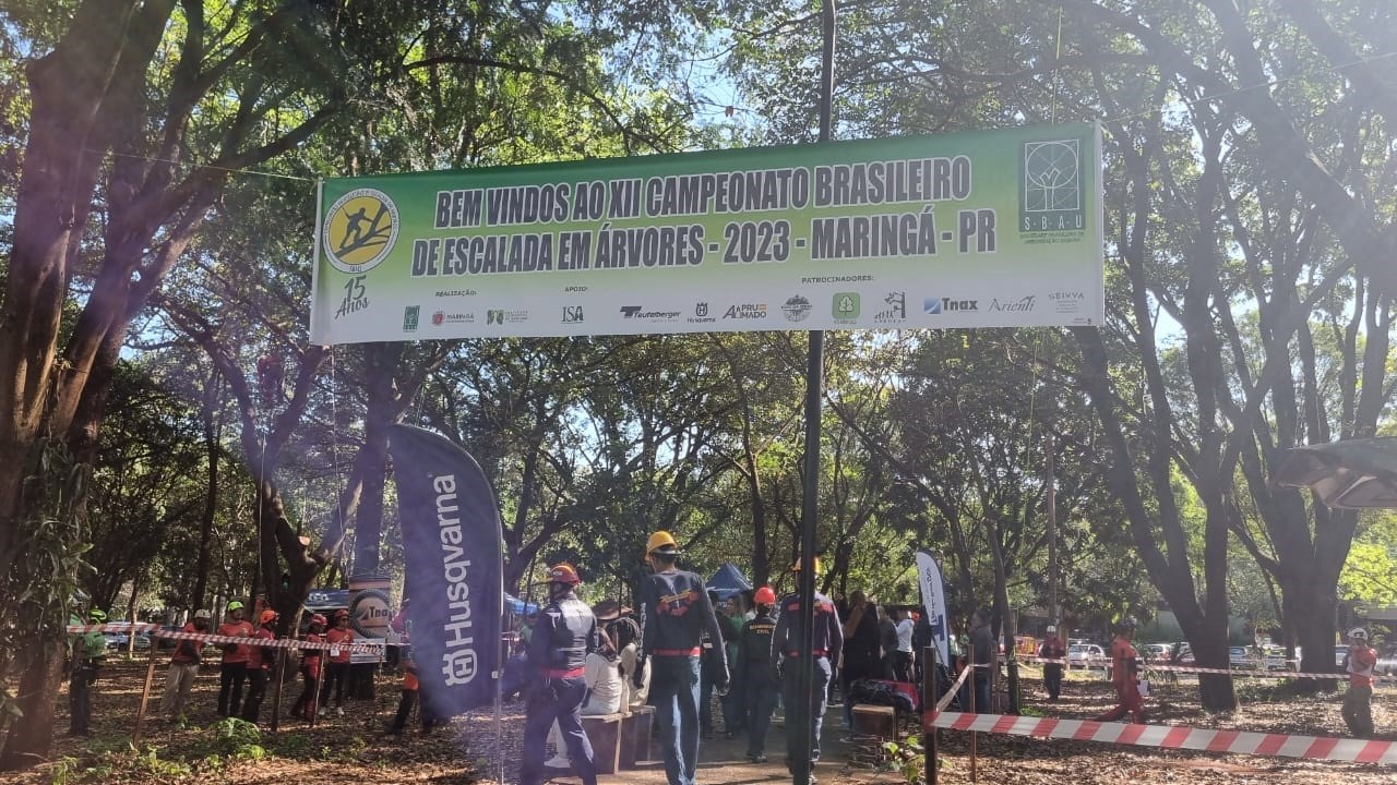 Campeonato Brasileiro de Escalada em Árvores começa nesta sexta-feira (15)