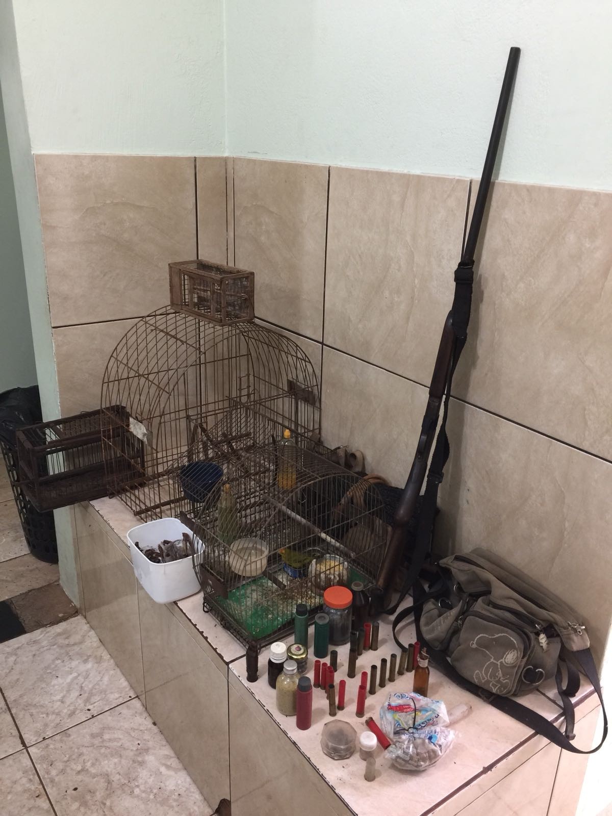 PM apreende aves silvestres em cativeiro; homem é preso