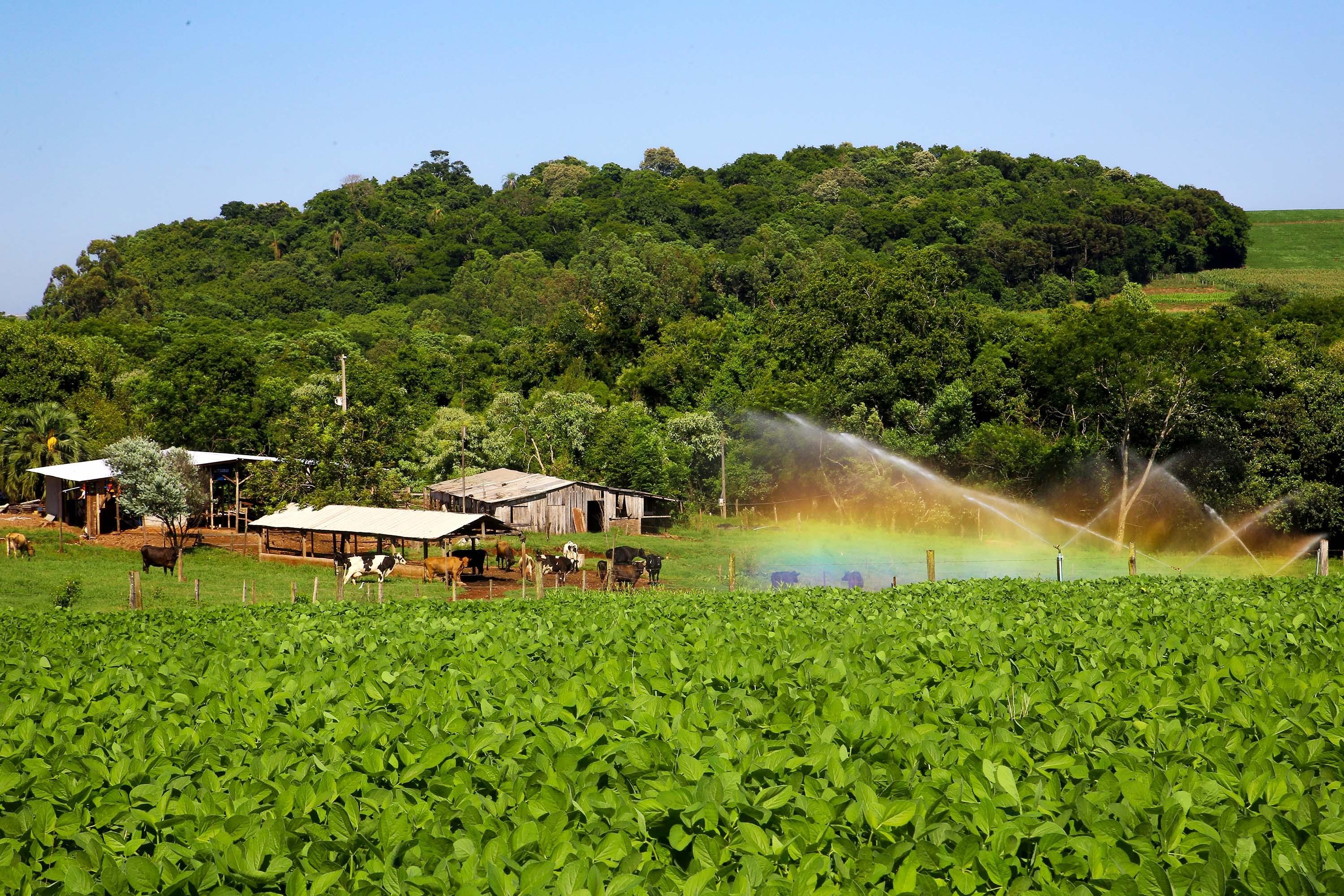 Contratos do Plano Agrícola e Pecuário sobem 32%