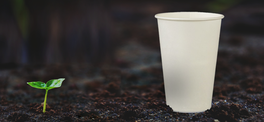 Ilha de Santa Helena quer tornar obrigatório uso de embalagens biodegradáveis