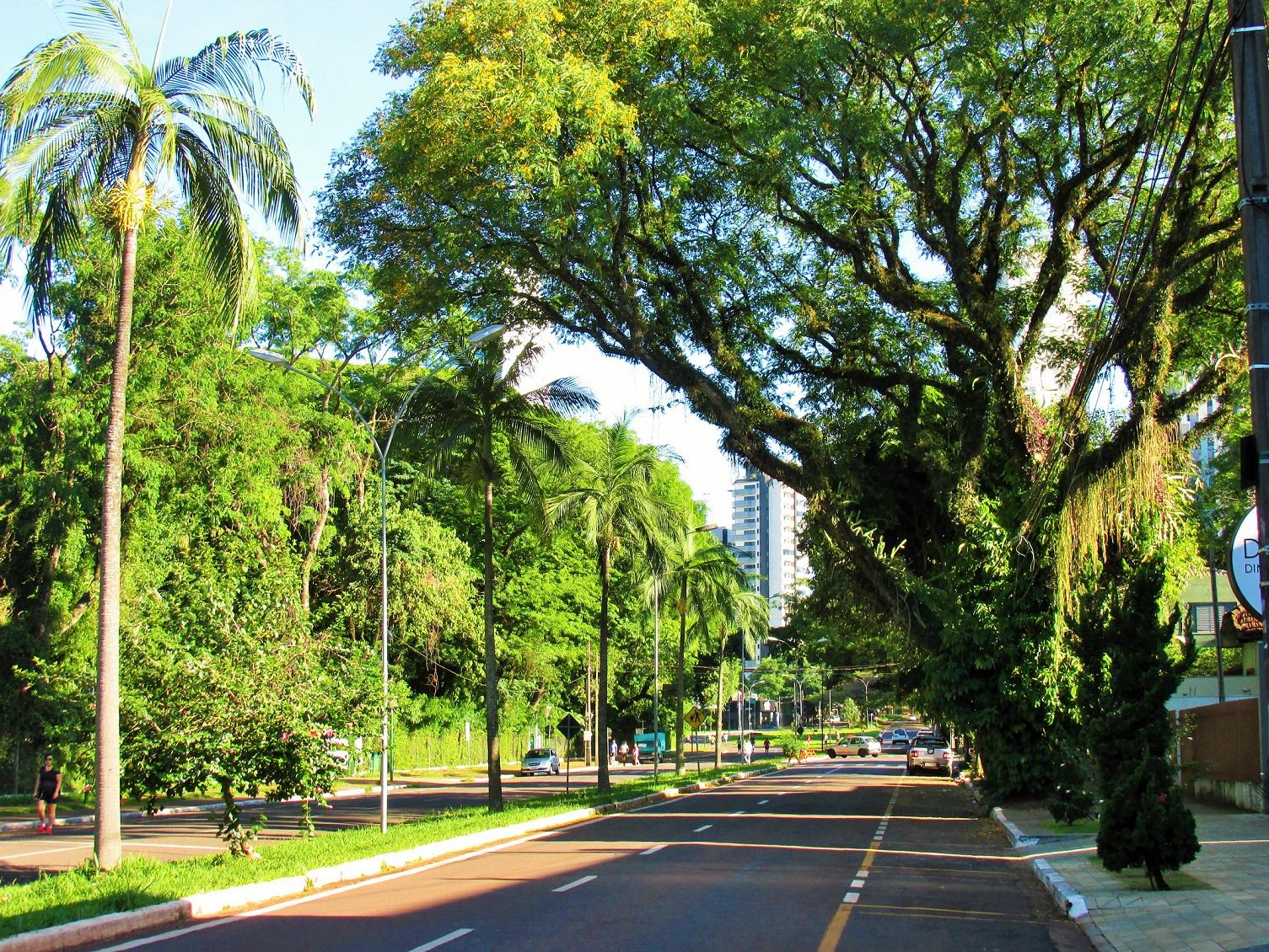 Tempo segue firme e ensolarado em Maringá nesta quinta-feira (15)