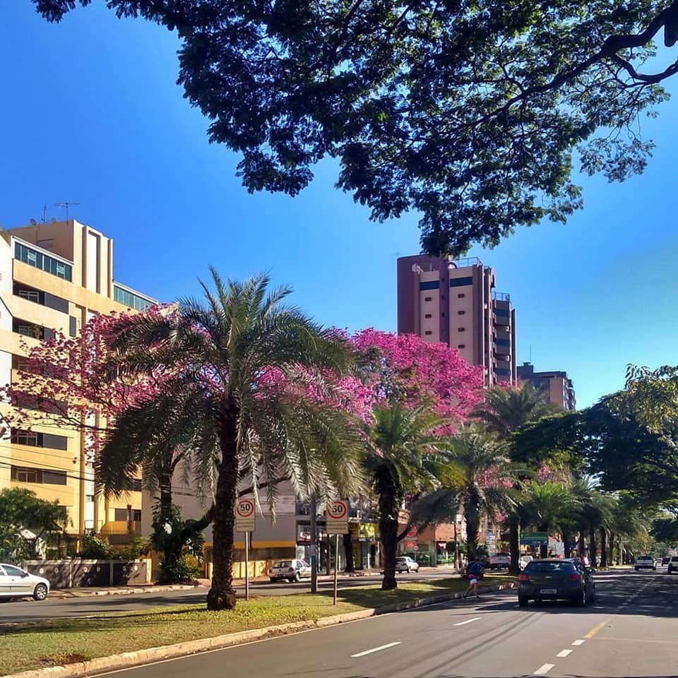 Domingo de carnaval será de sol e nuvens em Maringá
