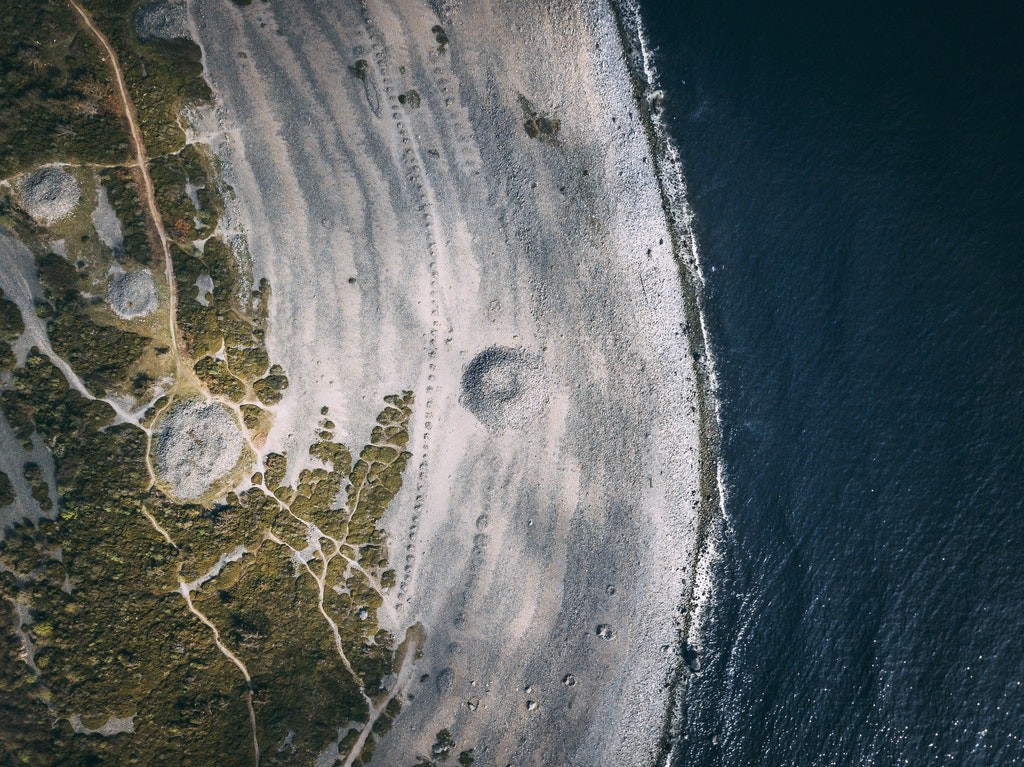 ONU Meio Ambiente e Google anunciam parceria para mapear ecossistemas