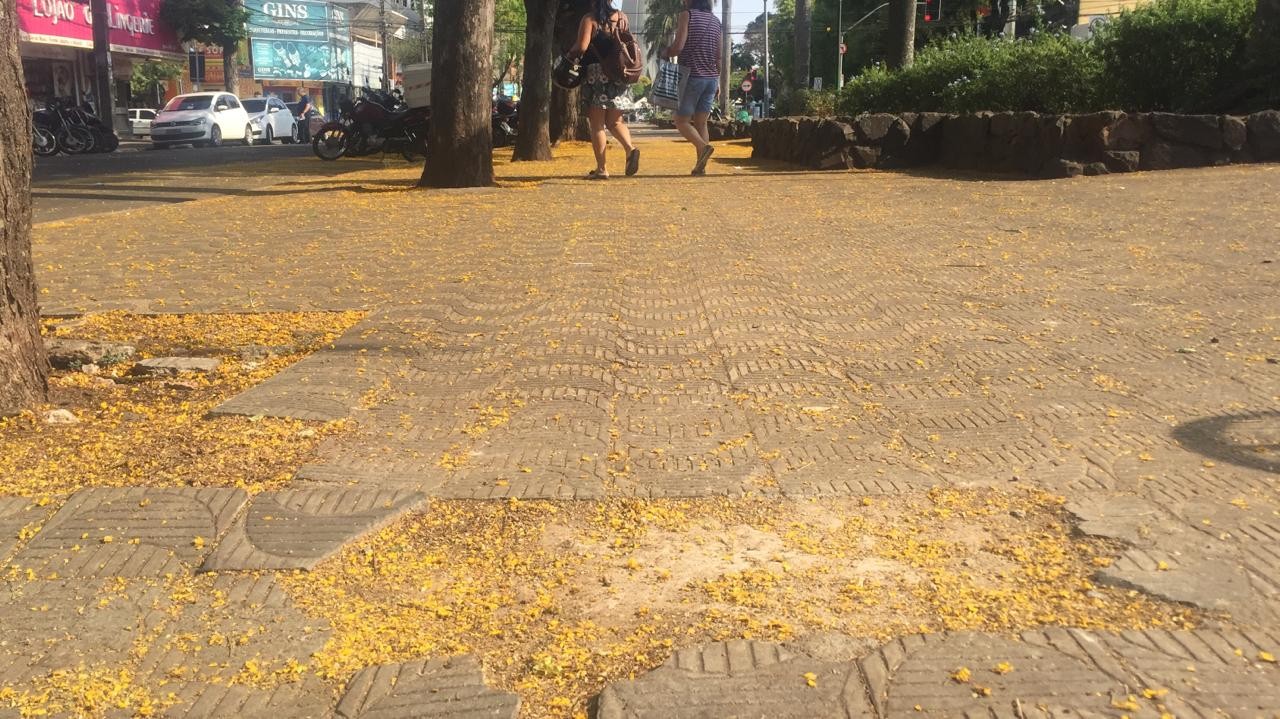 Calçadas irregulares geram 123 multas aos donos de imóveis em Maringá