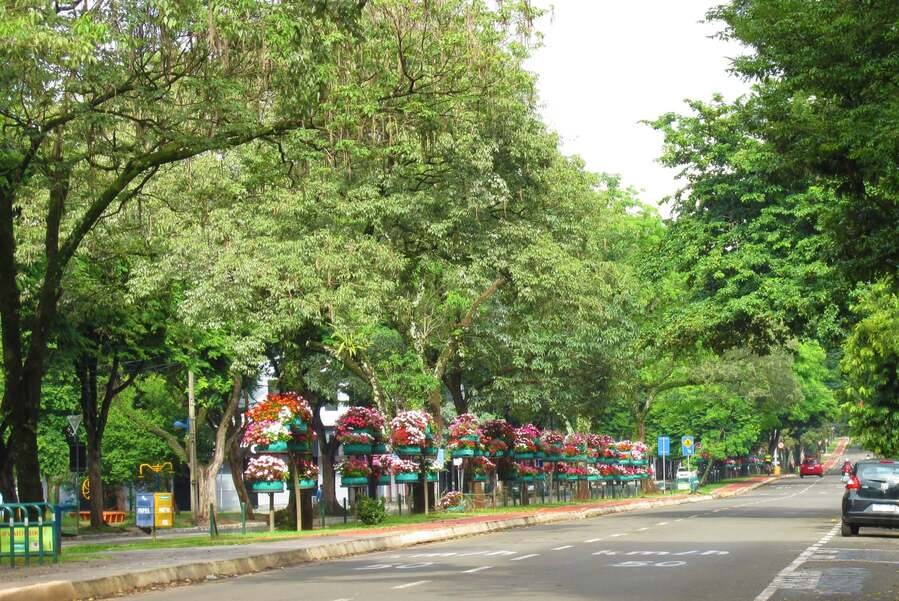 Maringá tem abril mais seco da história, diz Simepar