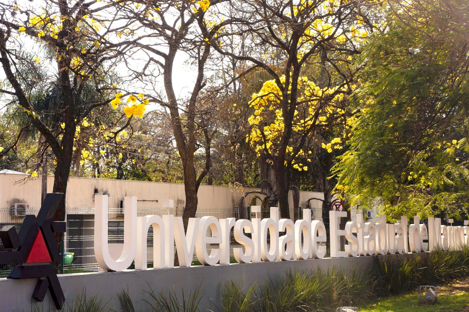 1º colocado no Vestibular da UEM dedicou tempo também à saúde mental