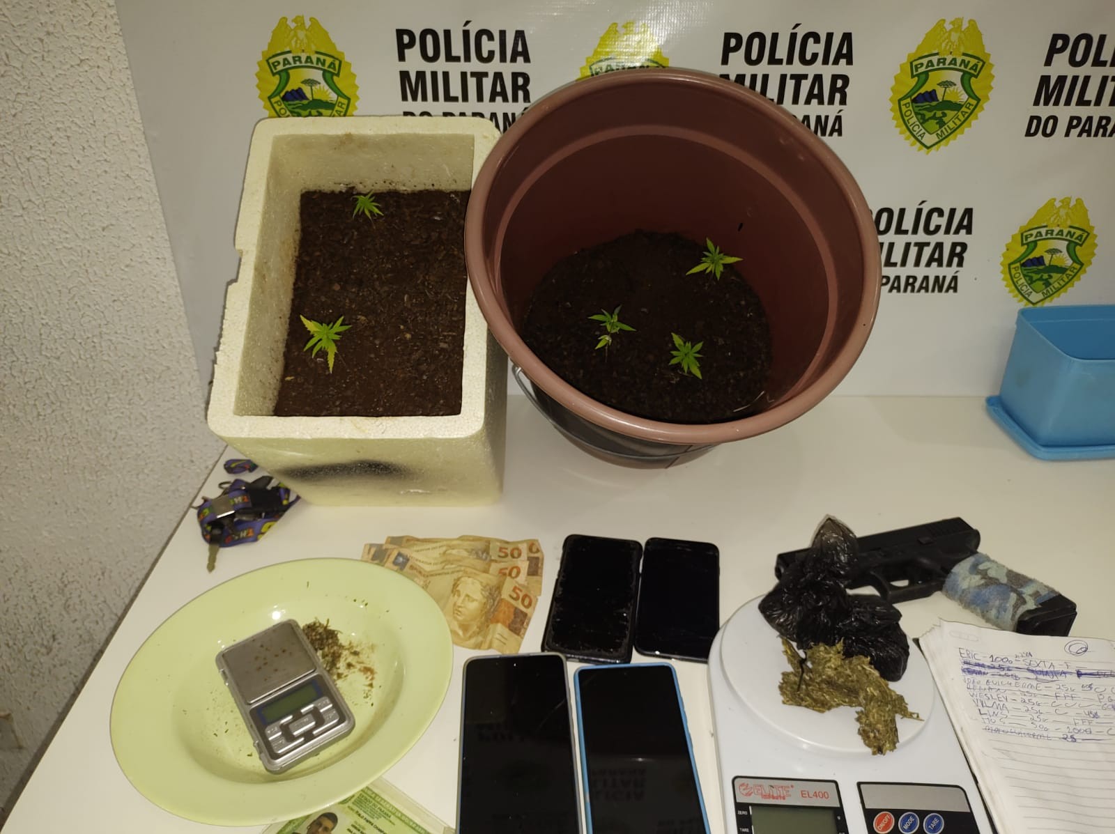 Três homens são presos em Maringá com drogas, dinheiro e mudas de maconha