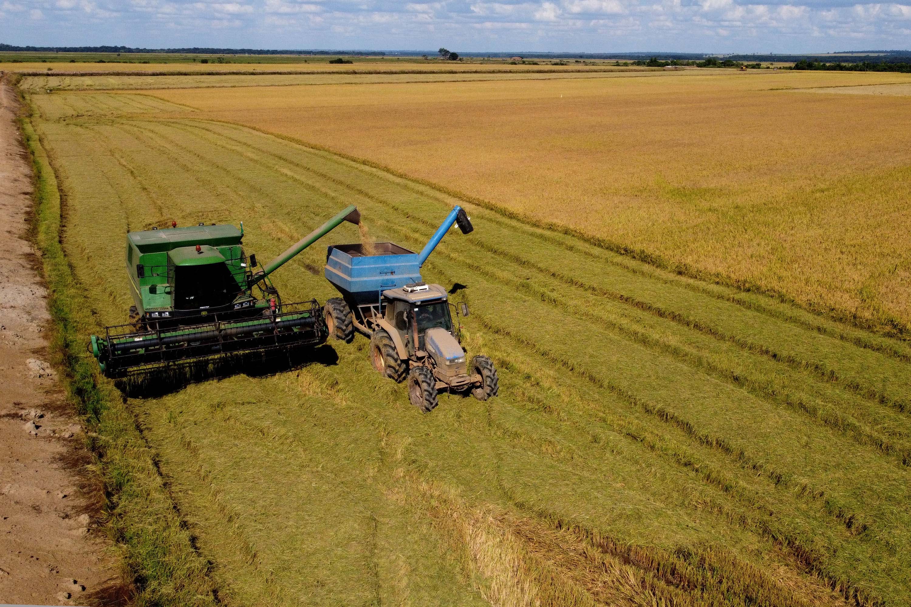 Produtores rurais estão cada vez mais conscientes sobre a preservação de suas fazendas