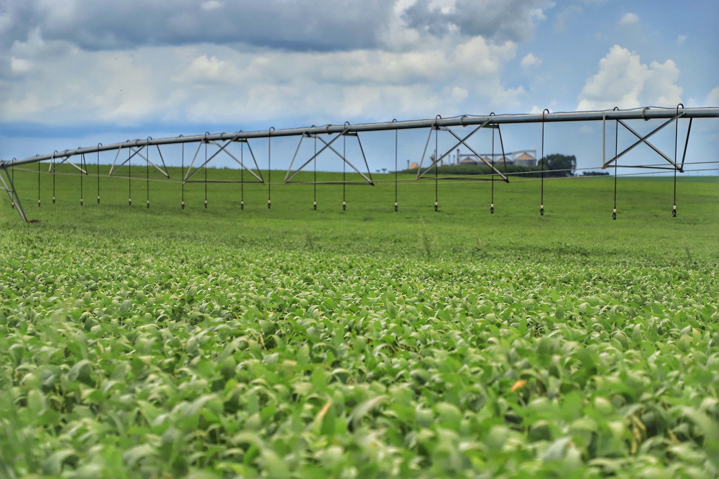 Colheita da safra de soja de 2021 e 2022 atingiu 68% da área plantada no Paraná