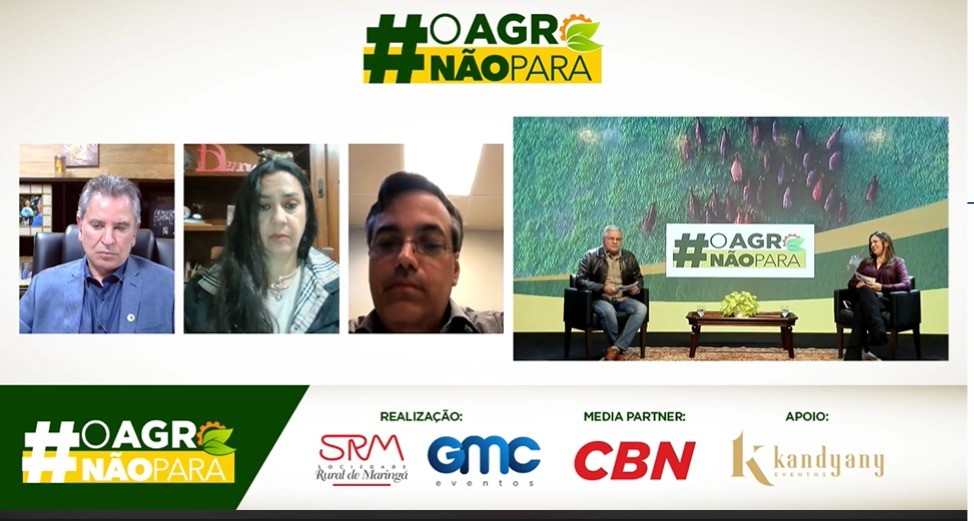 Pecuária sustentável é o futuro da produção de carne