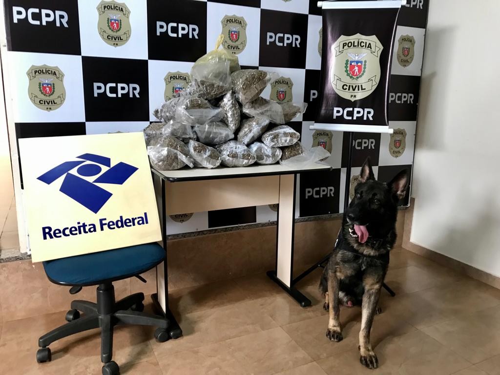 Denarc de Maringá apreende drogas que estavam sendo transportadas por encomenda