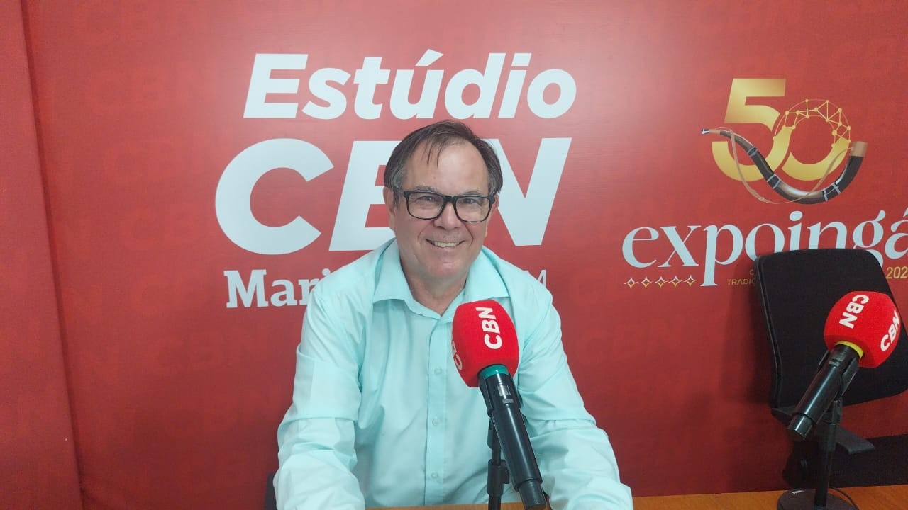 Coleção de insetos é uma das novidades deste ano no Mudi