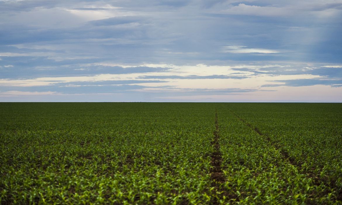Volumes de fertilizantes importados pelo Brasil em junho quebra recorde