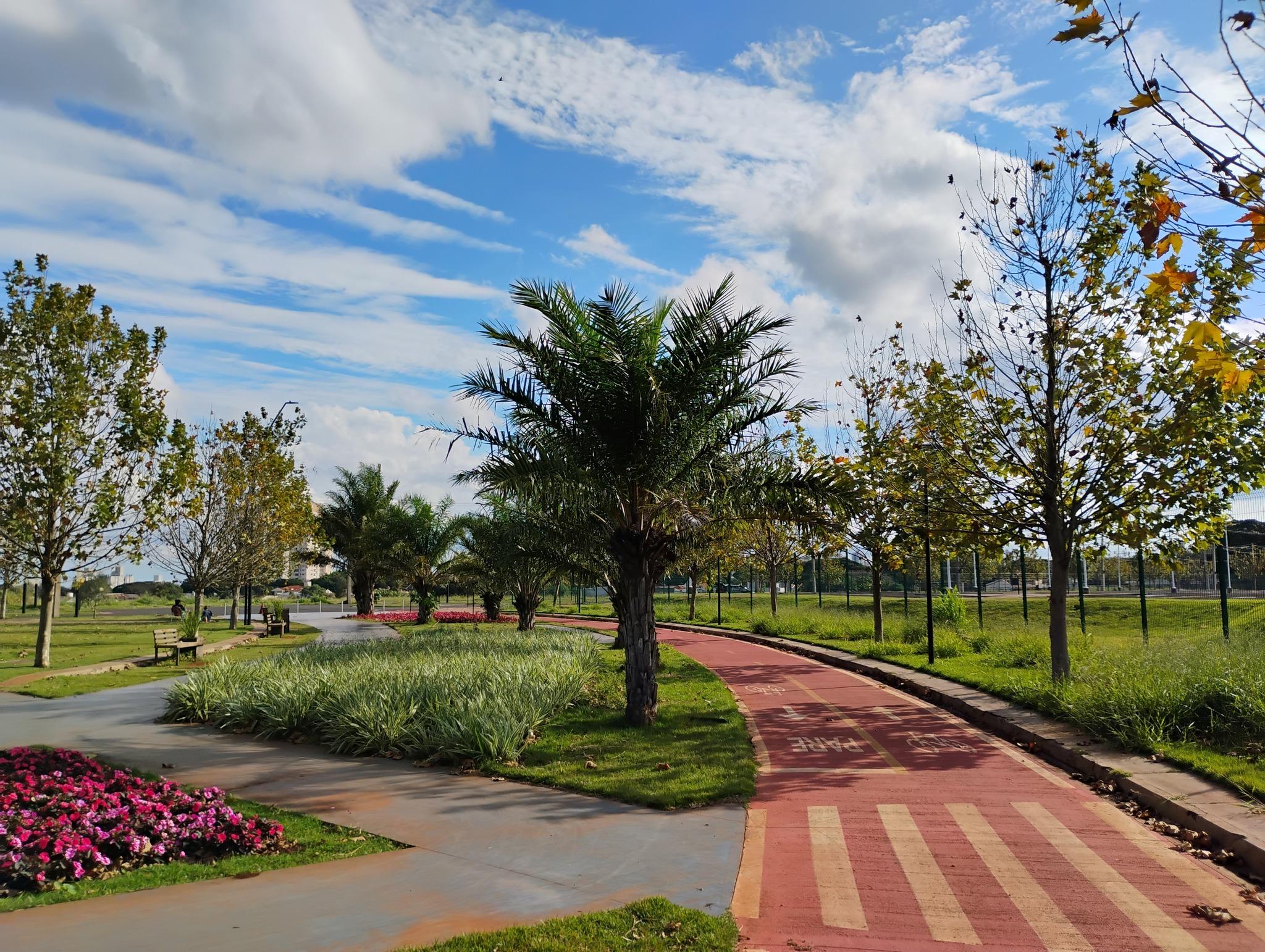 Sem chance de chuva, quinta-feira (3) será de sol entre nuvens em Maringá