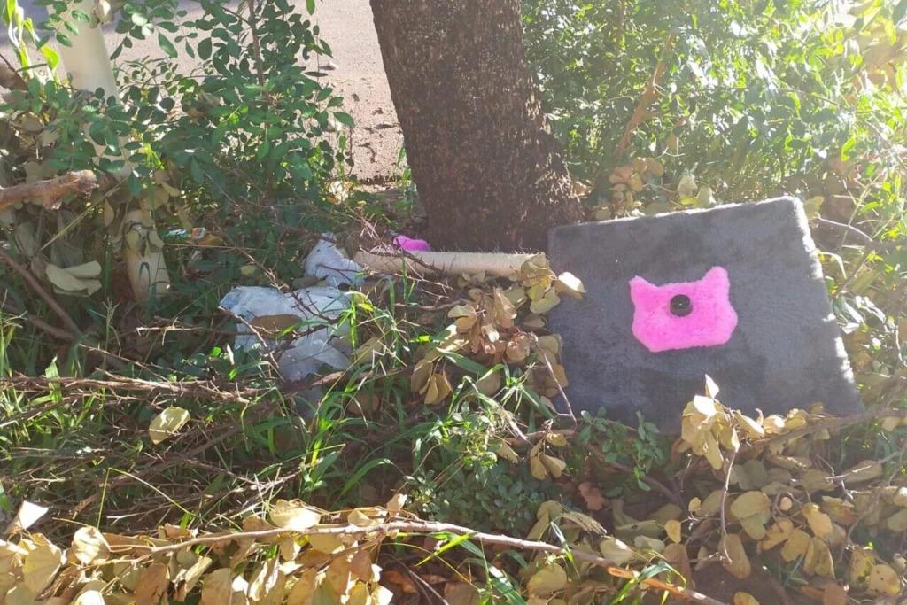 Casa abandonada gera indignação em moradores do Residencial Cidade Nova, em Maringá