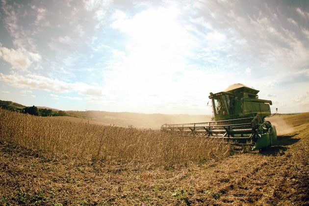 Ministério da Agricultura divulga Plano Agrícola e Pecuário 2019/20