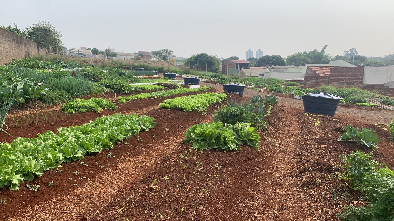 Famílias do Jardim São Clemente ganham horta comunitária e parque