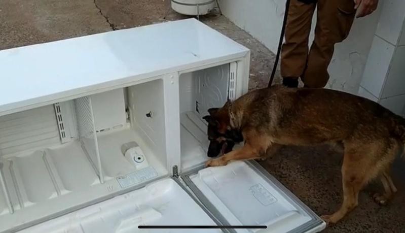 Presos compram geladeiras e eletrodomésticos chegam cheios de drogas em Cianorte; vídeo